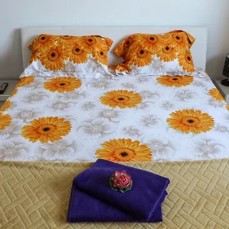 Apartament Mircea *
