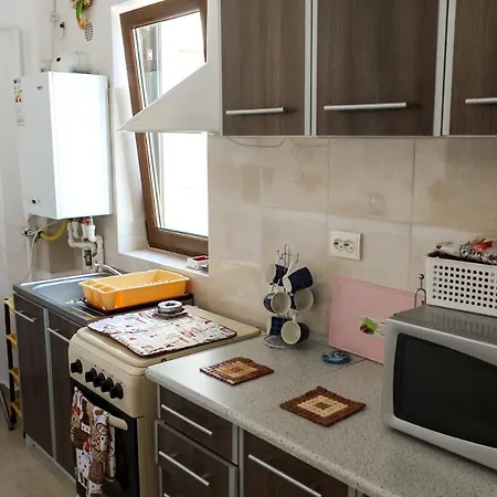 Apartament Mircea Appartamento *